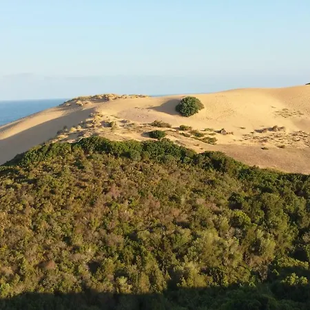 Mare Dune Laghetto